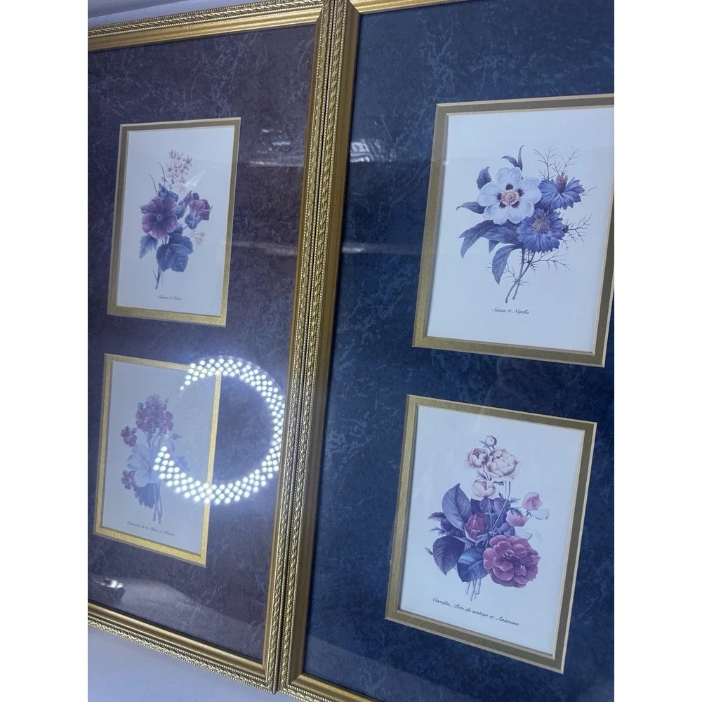 Vintage botanical Art French Gold Frames‎